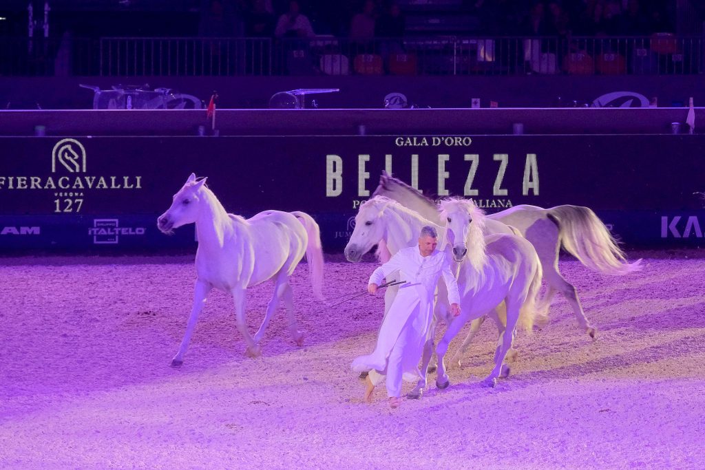 Fieracavalli2025 Veronafiere EnneviFoto 8010 1024x683