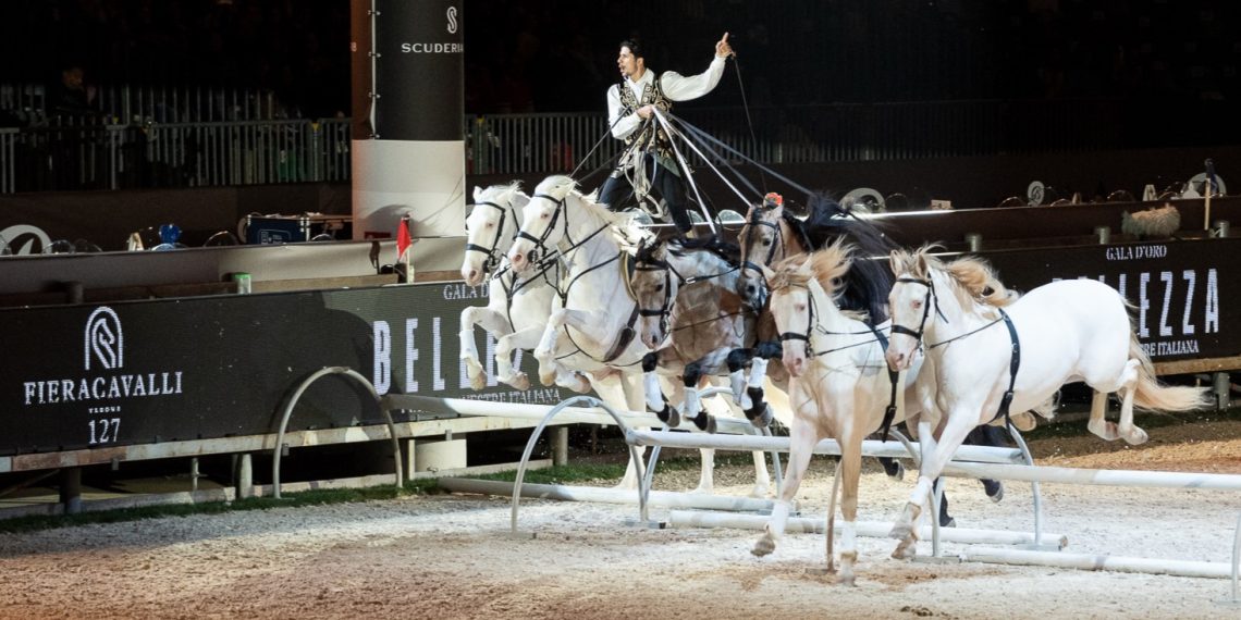 Fieracavalli 2025 Veronafiere EnneviFoto 05694 1140x570