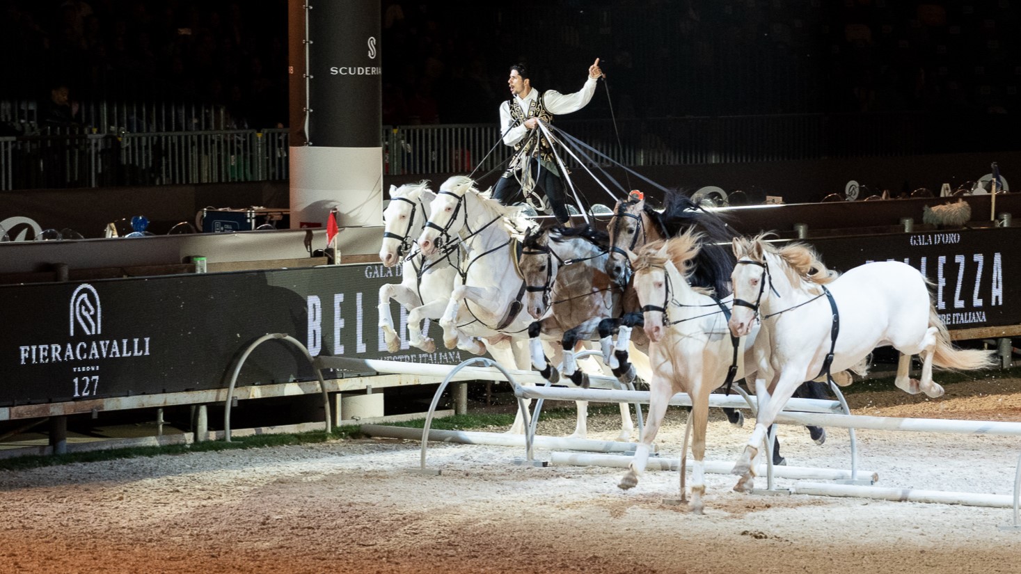 Fieracavalli 2025 Veronafiere EnneviFoto 05694