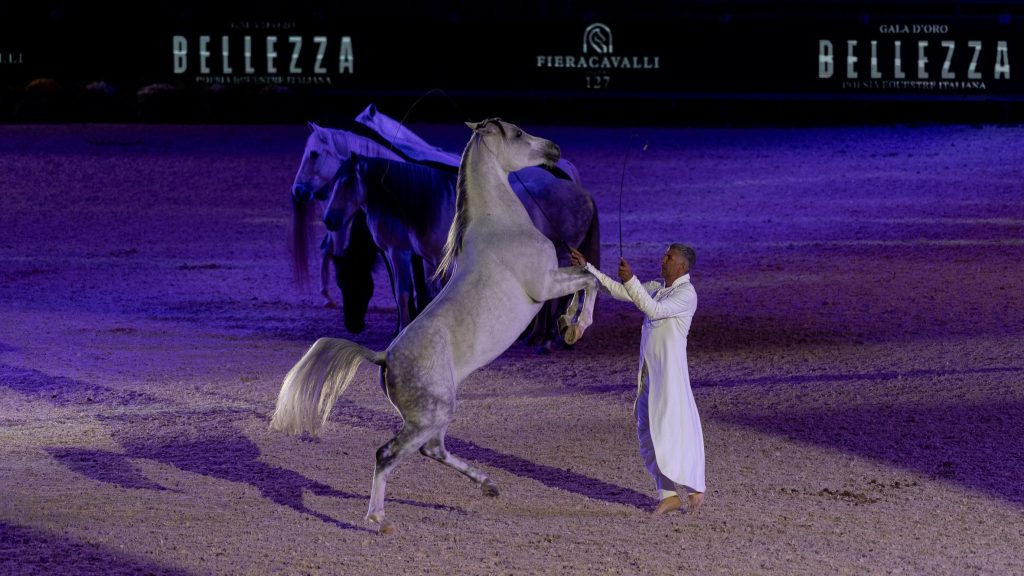 Fieracavalli 2025 Veronafiere EnneviFoto 05900 1 1024x576