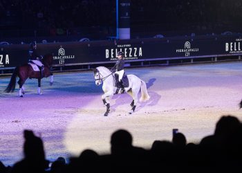 Un’idea – semplice – di Dressage…ma bisognava averla!