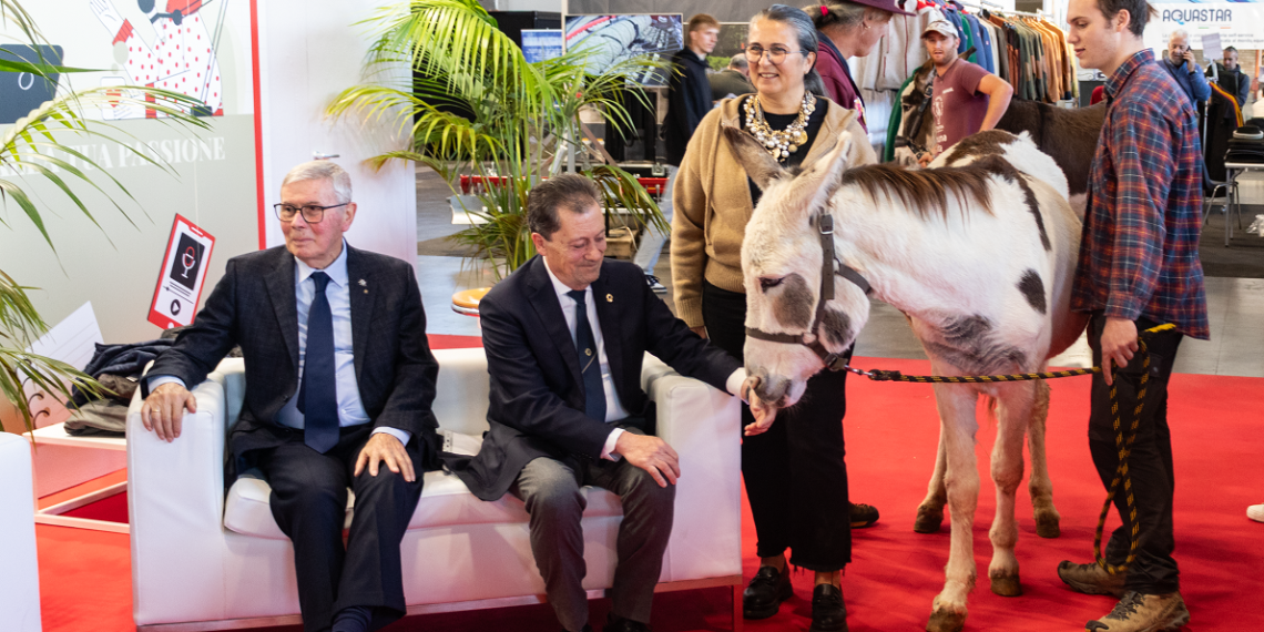 IMG 6683 gt 1140x570