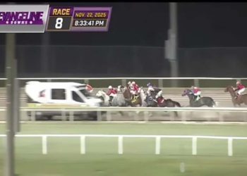 MjE5MzczMjUwMDA4ODUyMzMz copia 350x250