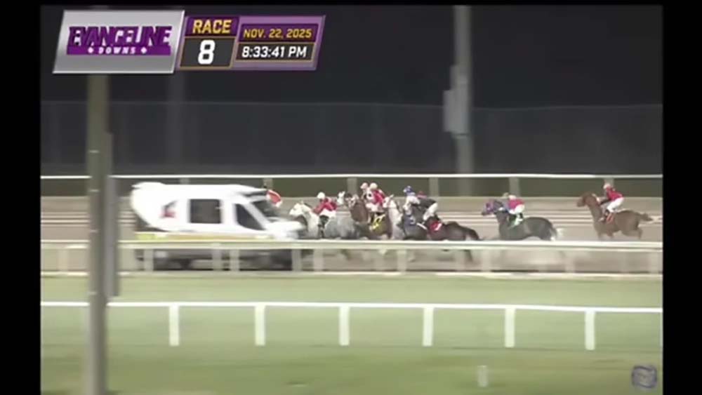 MjE5MzczMjUwMDA4ODUyMzMz copia