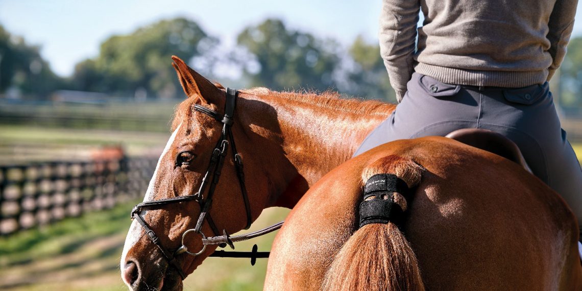 Garmin presenta Blaze a Fieracavalli