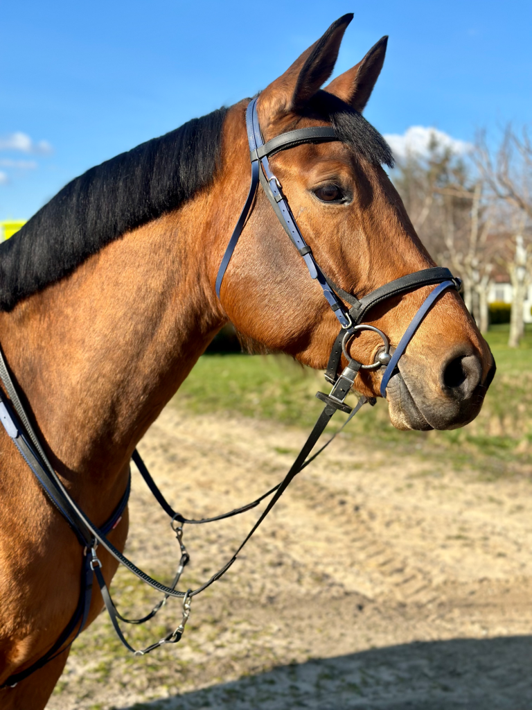 Progetto senza titolo 1 768x1024