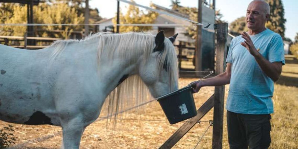 Progetto senza titolo 90 1140x570