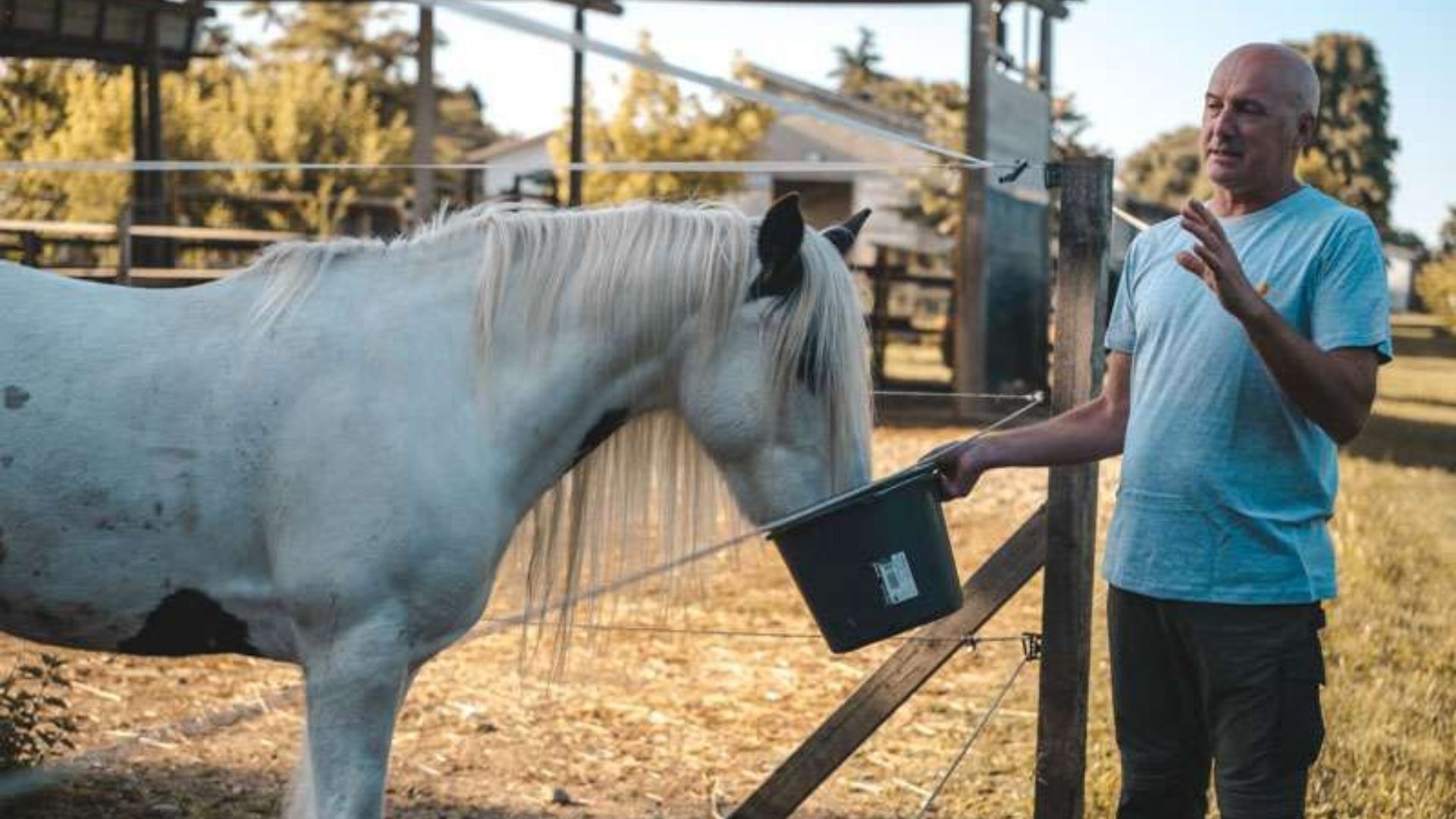 Progetto senza titolo 90