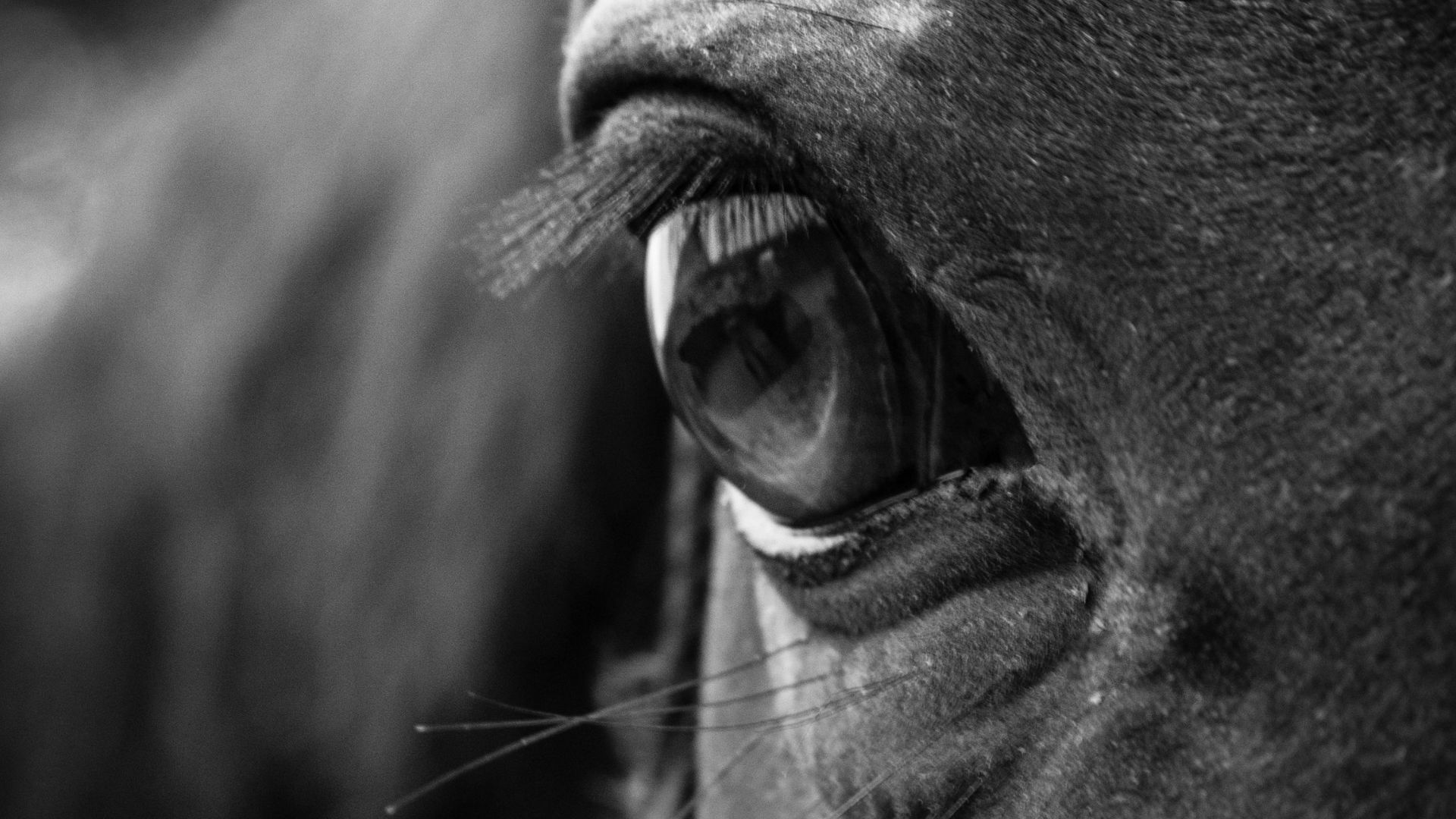 Progetto senza titolo 91