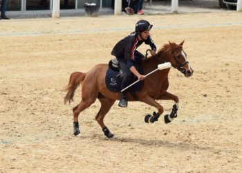 Progetto senza titolo 93 350x250