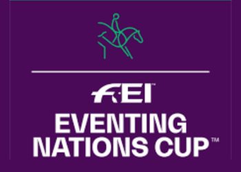 Progetto senza titolo 97 350x250