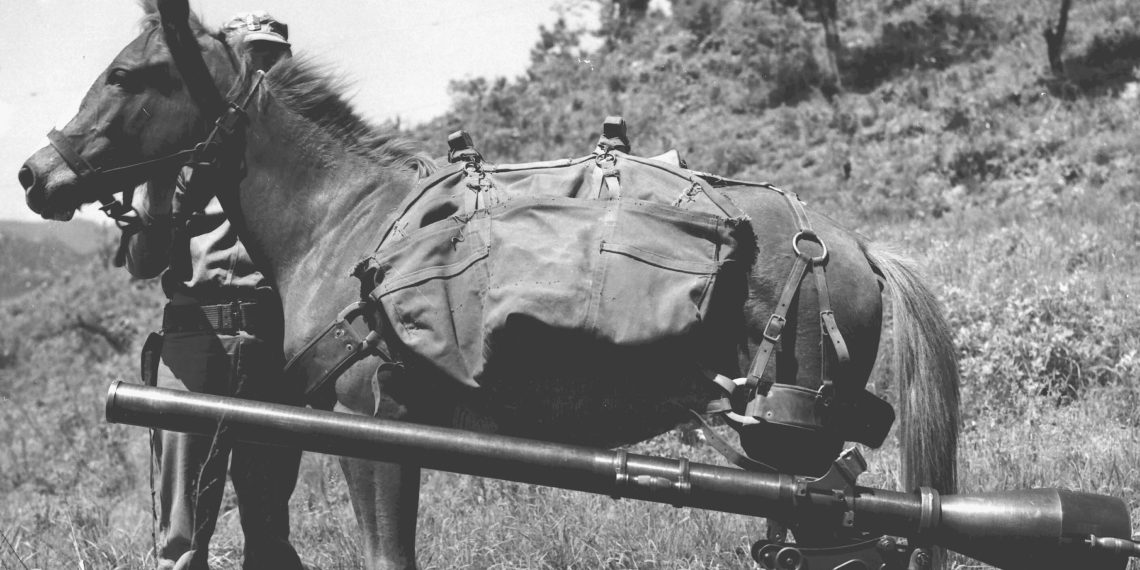 Sgt Reckless with recoilless rifle 1140x570