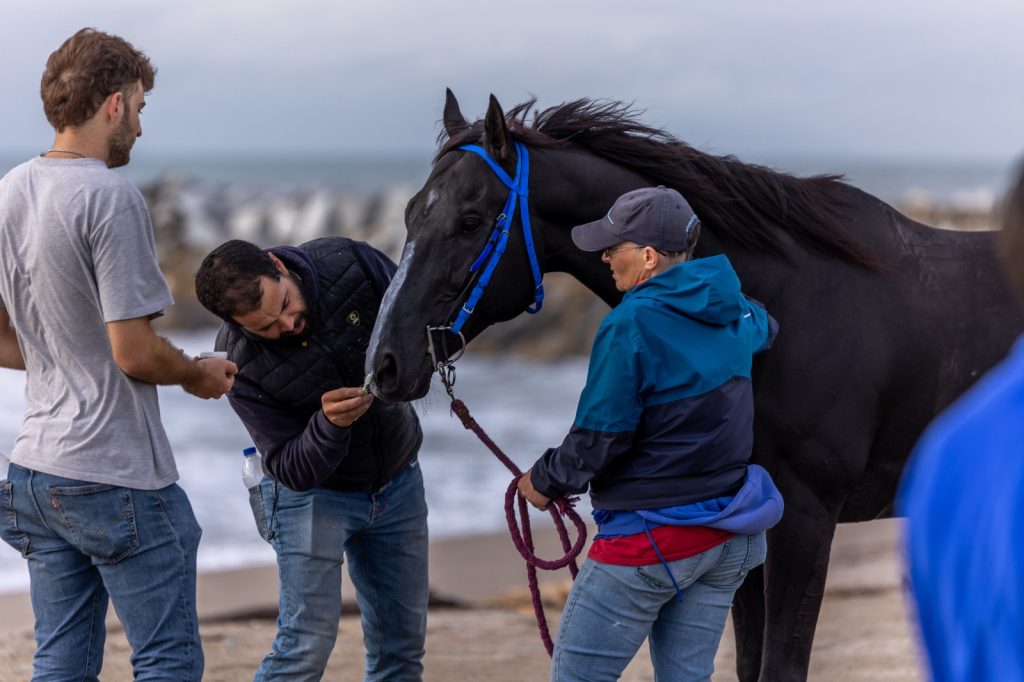 WhatsApp Image 2025 11 21 at 11.28.43 1024x682