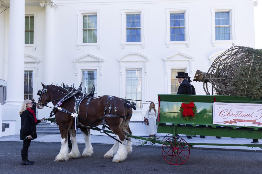 a5484d38907a6bf26e74b8c4debfa014 1024x683