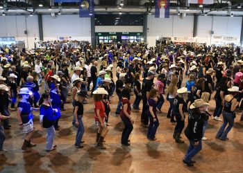 All Futurities Cremona 2025: una fiera per tutti