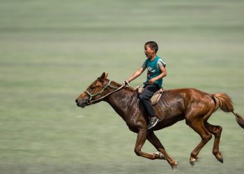 boy 7143682 1280 1 350x250