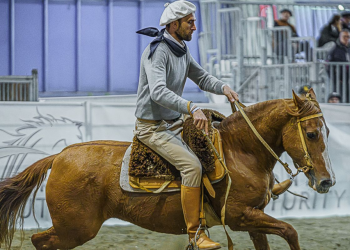 copertina articoli 1 350x250