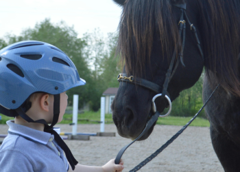 copertina articoli 3 350x250