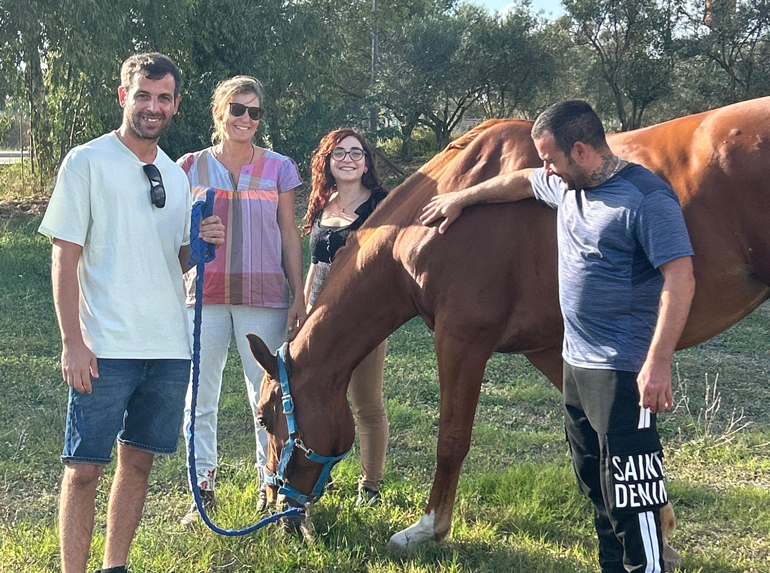 dalle stalle alle stelle lucie bardin equicoaching scaled
