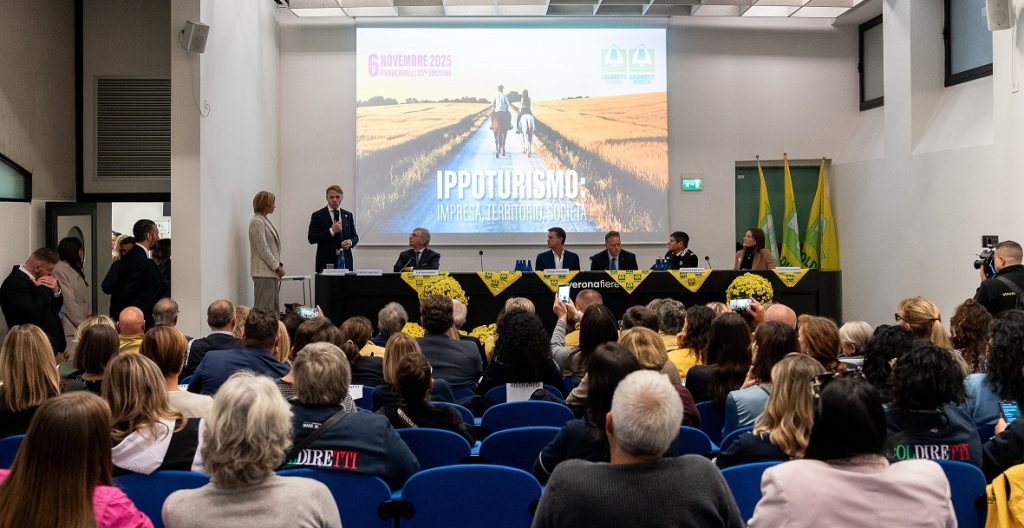 foto 3 foto 3 1024x528