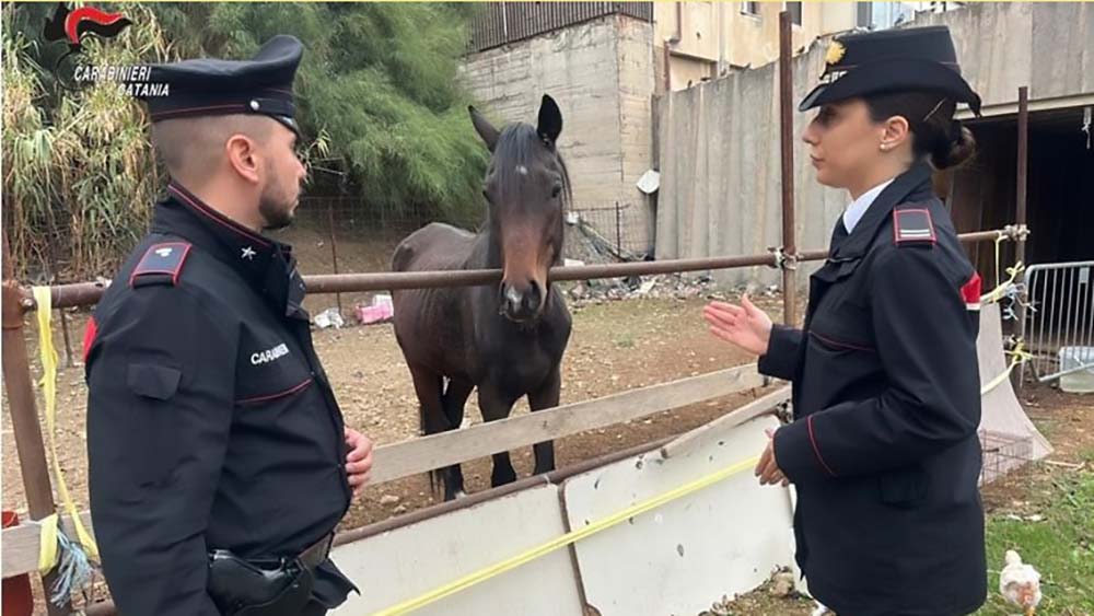 foto CT Fontanarossa 756x528 1