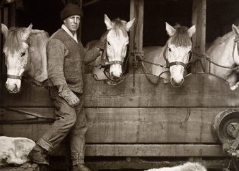 herbert ponting captain lawrence oates and siberian ponies on board terra nova 1910 1 350x250