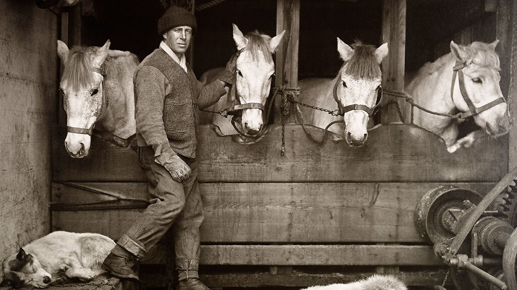 herbert ponting captain lawrence oates and siberian ponies on board terra nova 1910 1