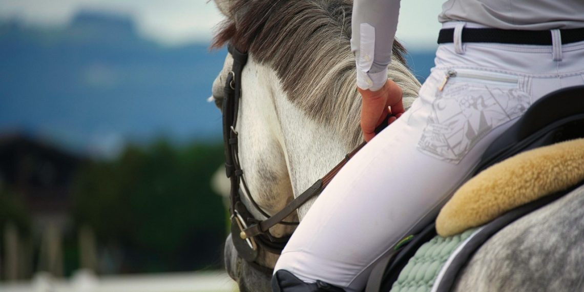 È uscito il bando Studente Atleta di alto livello per l’anno scolastico 2025/2026