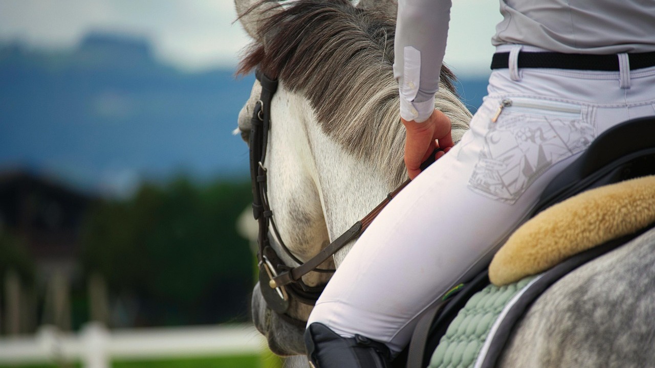 horse riding 7417456 1280 1