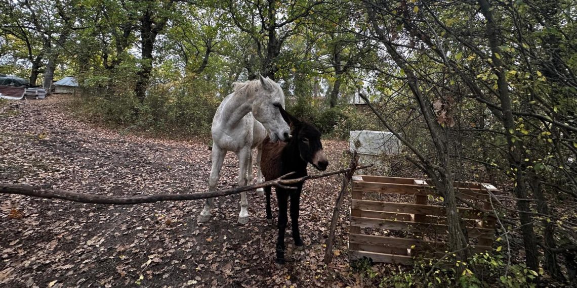 mi8v22zkraxj6o4i4yn 1140x570