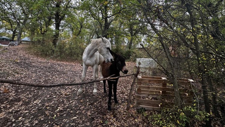 mi8v22zkraxj6o4i4yn 750x422