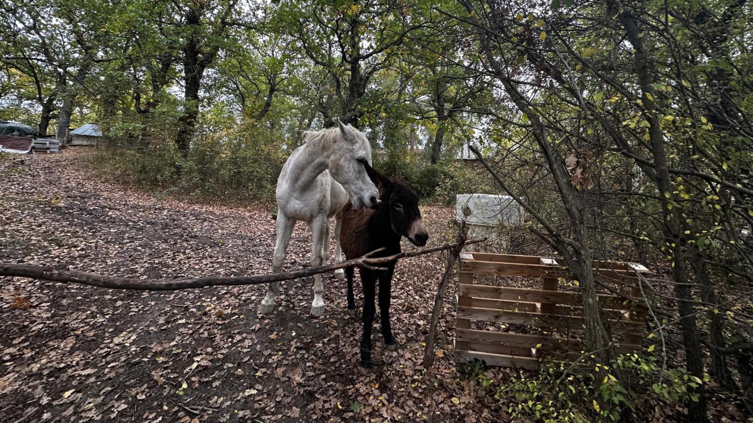 mi8v22zkraxj6o4i4yn scaled