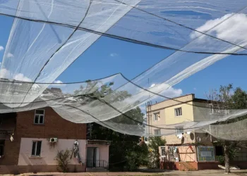 reti anti droni a orikhiv nella regione di zaporizhzhia 1 350x250