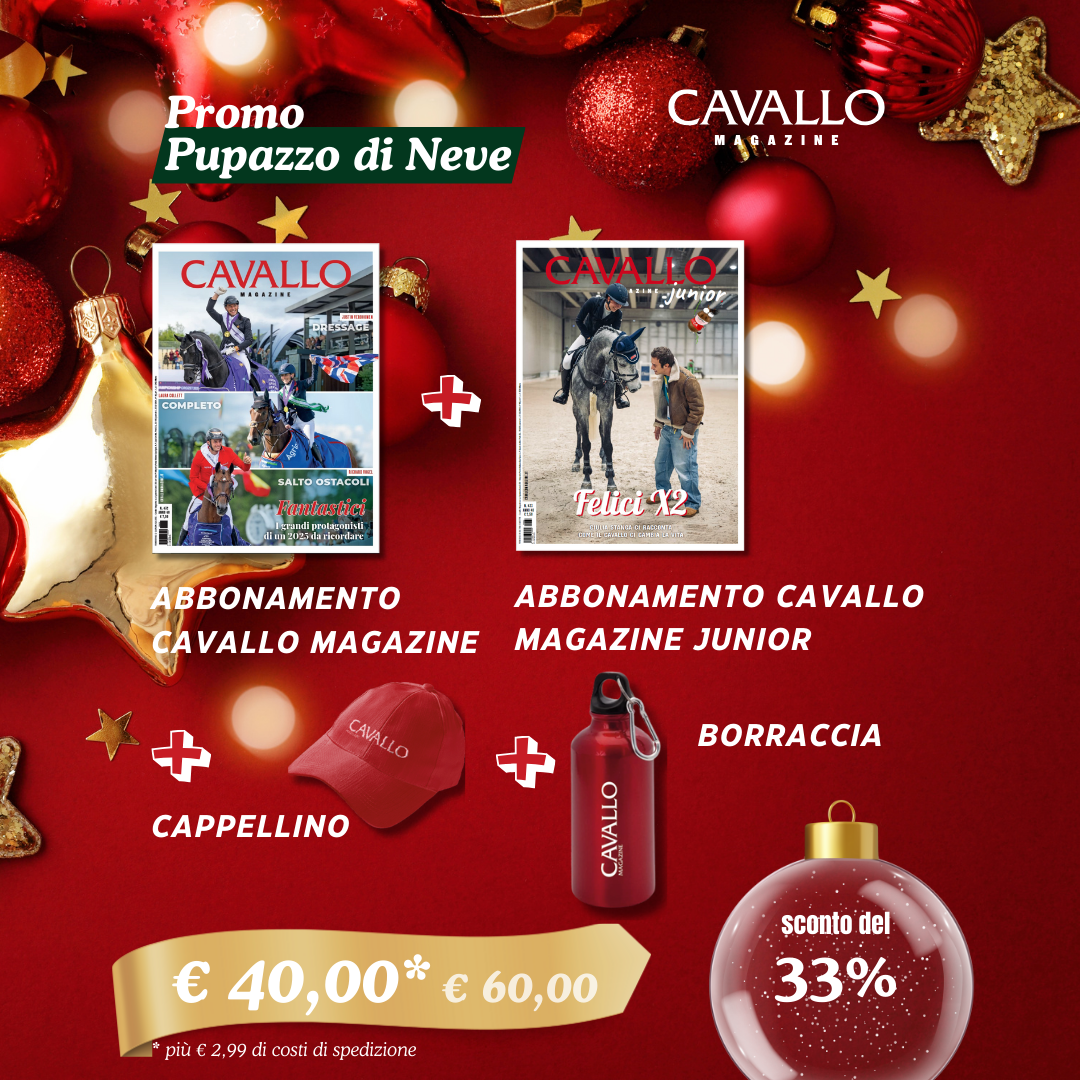 PROMO PUPAZZO DI NEVE NATALE 2025