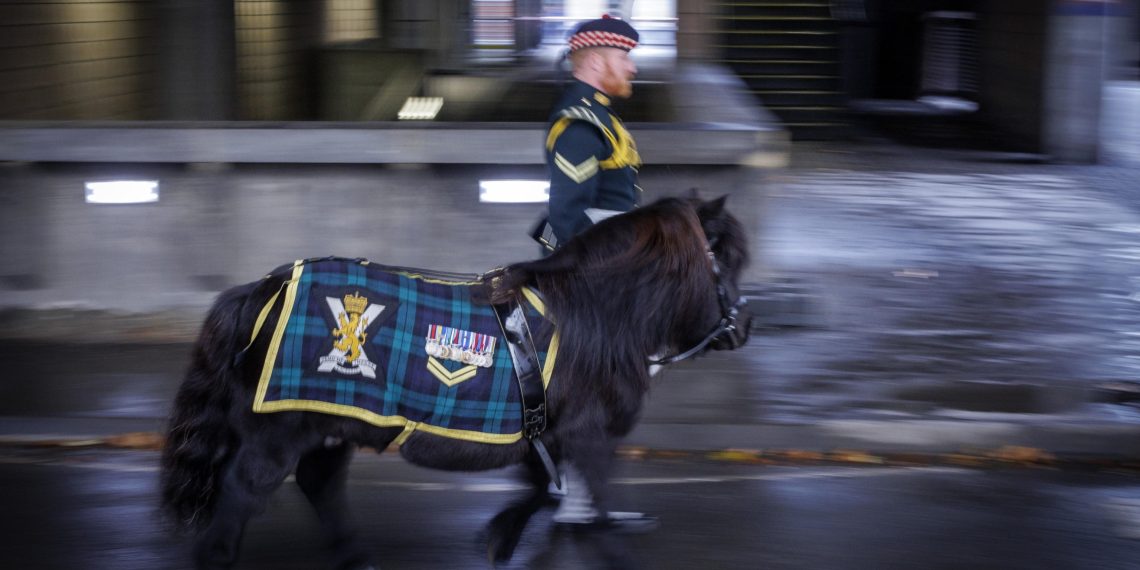 3d5be82a18b7e1912df85f6710879a14 1140x570