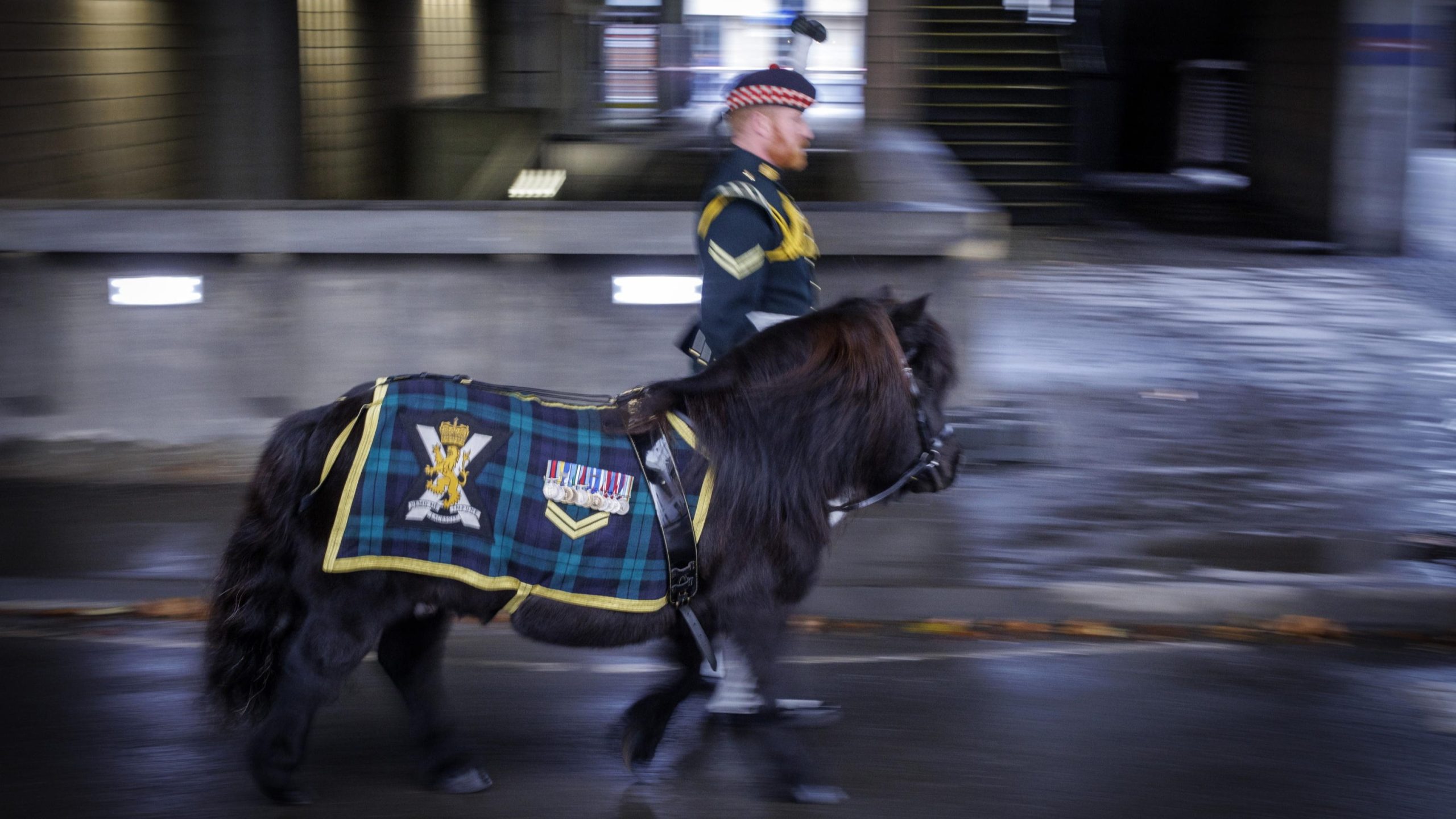 3d5be82a18b7e1912df85f6710879a14 scaled