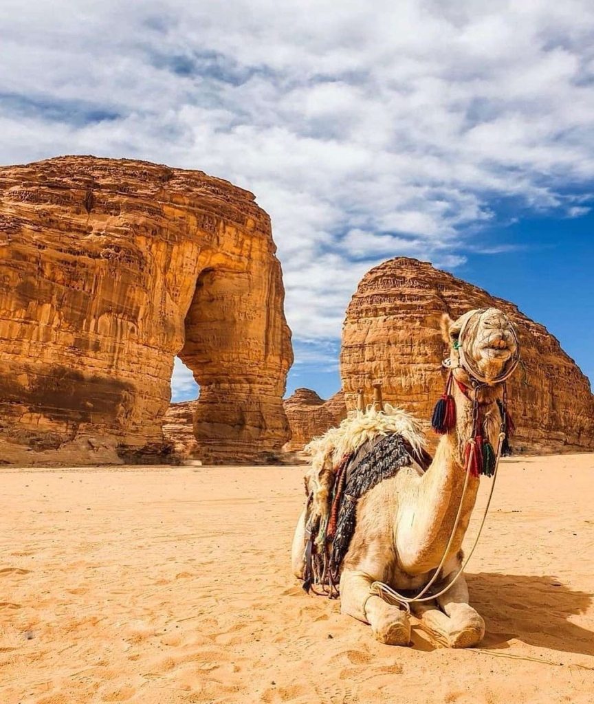 471592310 2289690328075758 4531830220240238863 n 864x1024