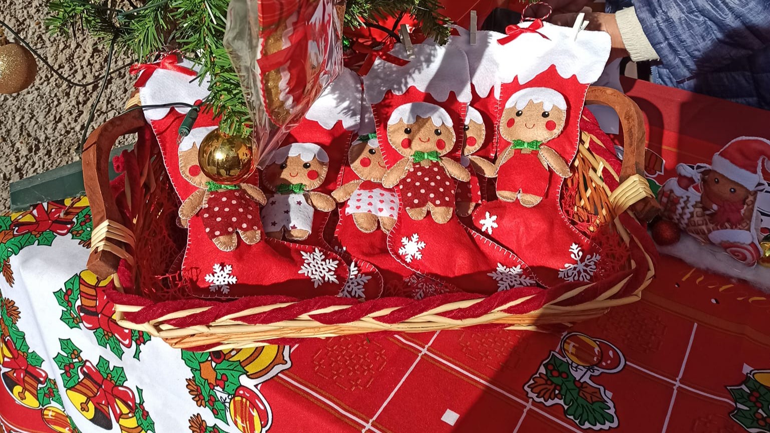 480921101 646727387878547 6986684996597244912 n