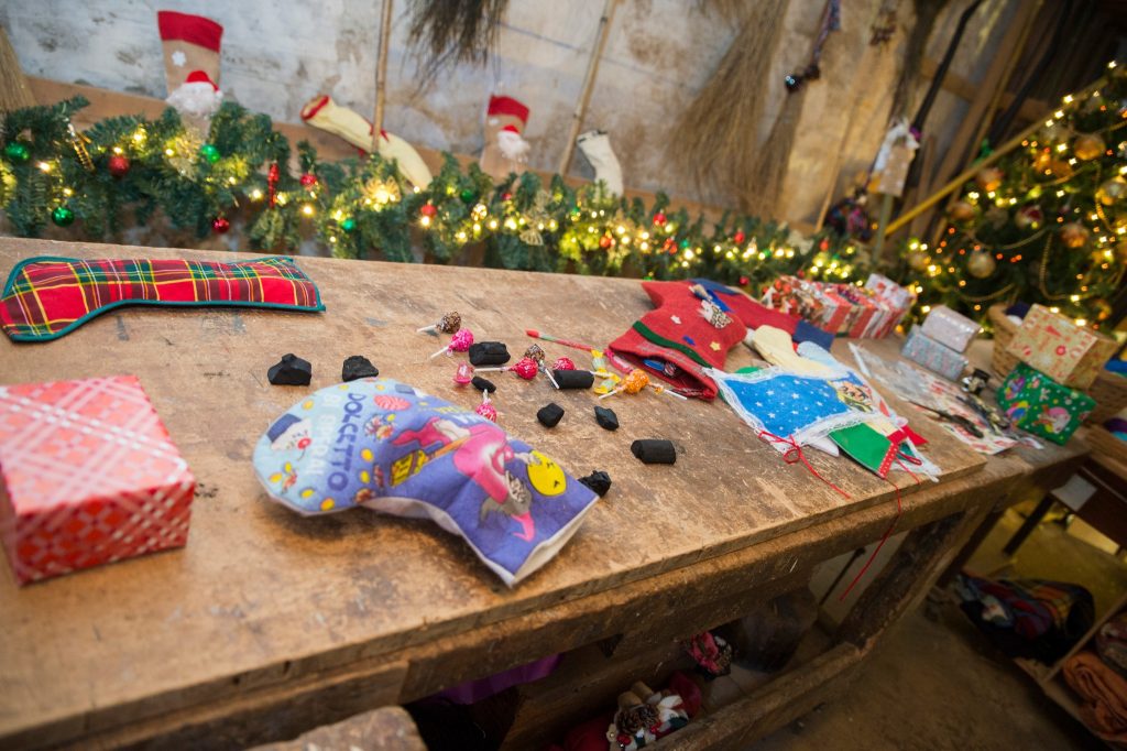 481237792 646727254545227 1094756025493898547 n 1024x682