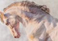 Regali d’Arte, Sandra Petreni: il cavallo come linguaggio emotivo