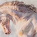 Regali d’Arte, Sandra Petreni: il cavallo come linguaggio emotivo