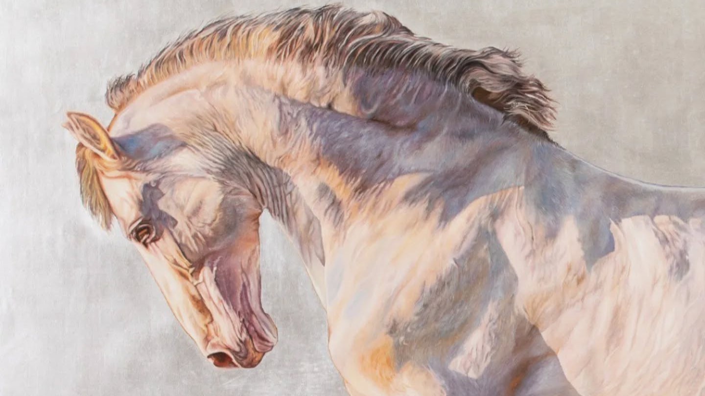 554677586 18533482546050592 1292431160452210292 n