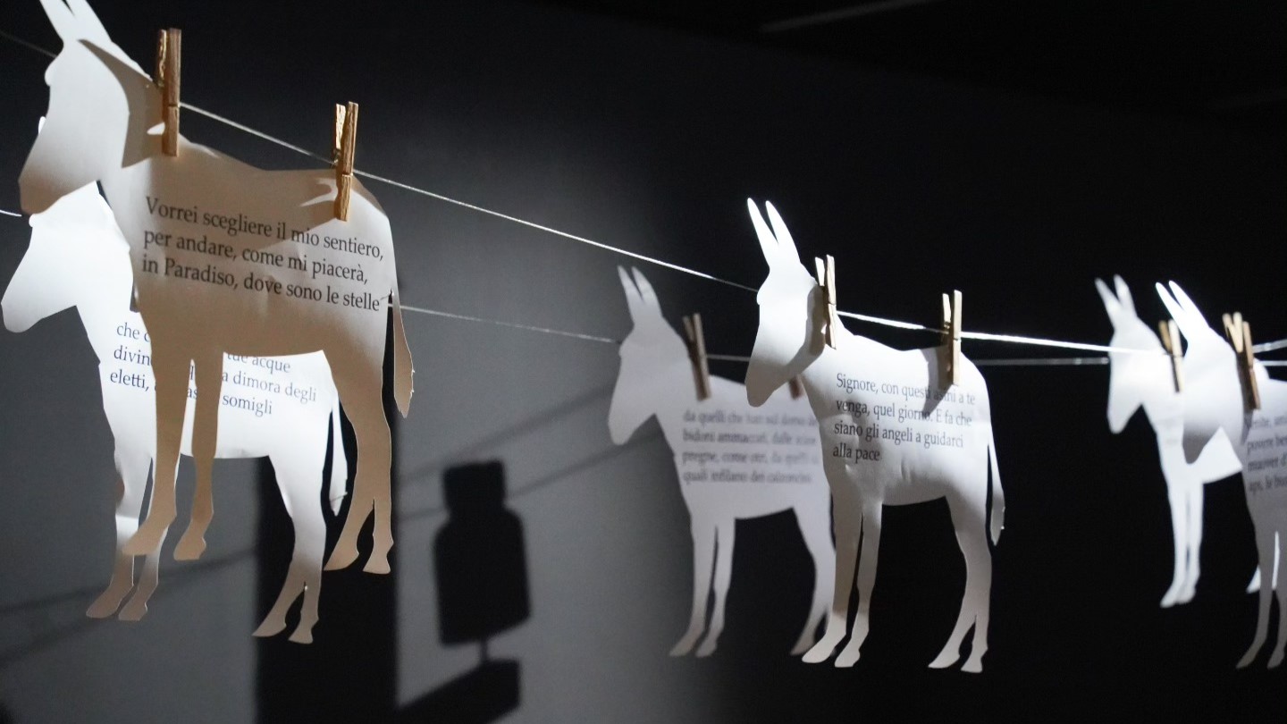 597393362 1404948584966160 4174461803239181493 n