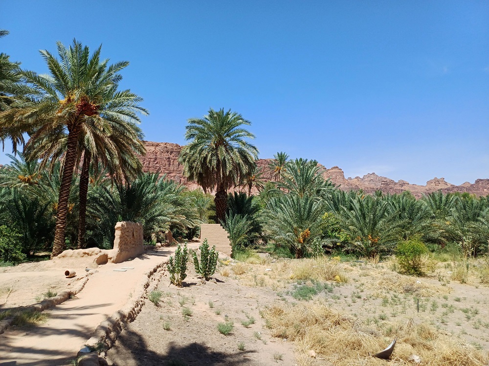 Al  Ula oasis 2