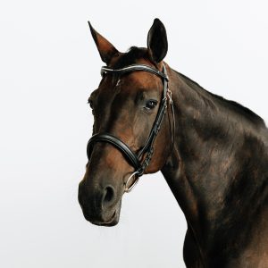 BRIDON 580 CONNECT STRASS NOIR 8881190 001 Expires on 09 10 2033 300x300