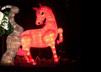 Central Horse 350x250