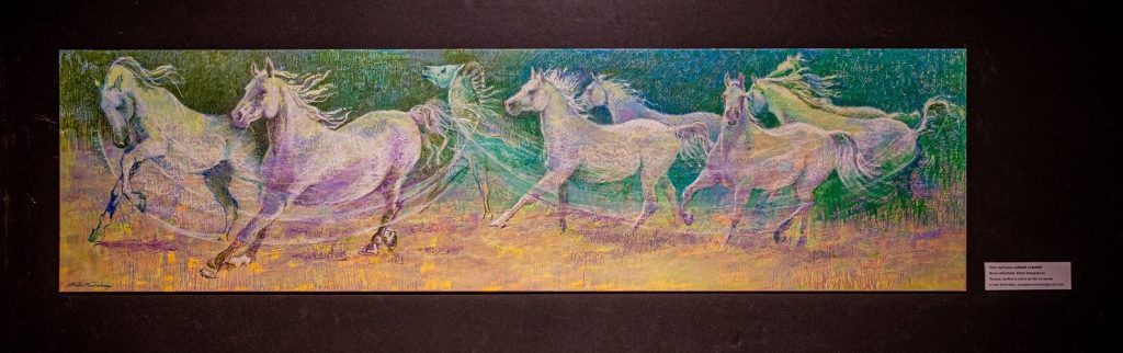 DSC07895 HDR 1 1024x322