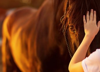 Umbria: contributi per i servizi assistiti