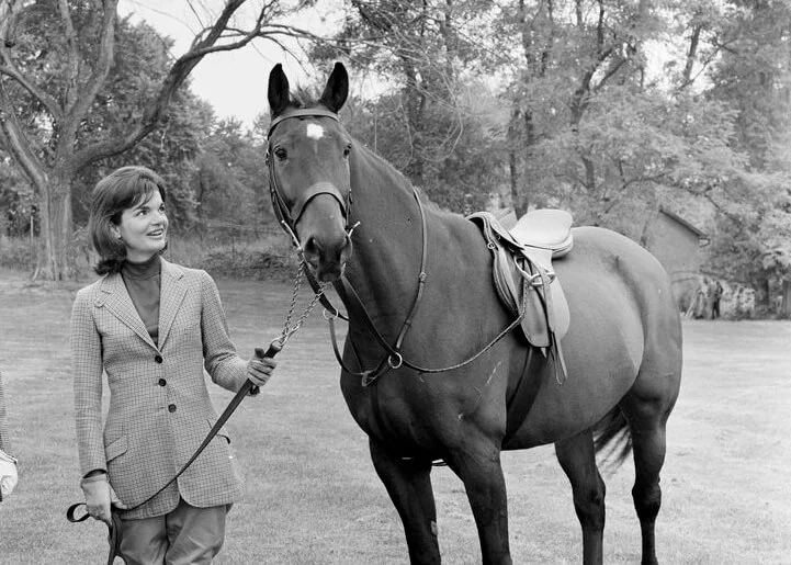 Jackiesardar Jackiesardar