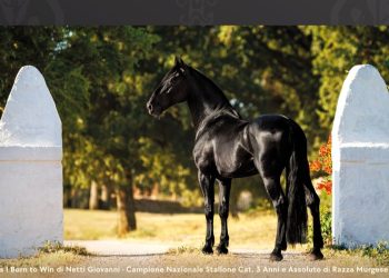 LOCANDINA 4 1 350x250